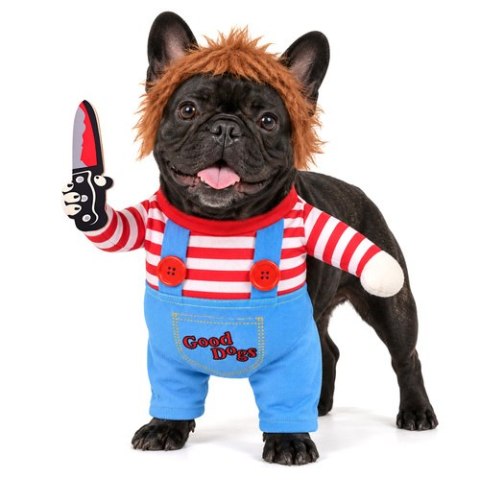Przebranie dla psa- halloween rozm. M Purlov